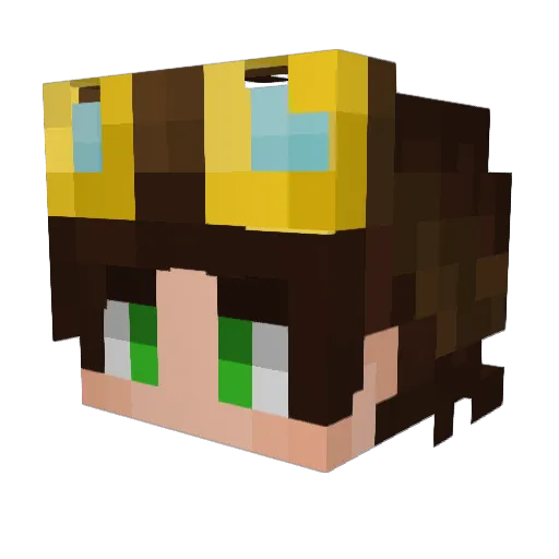 CNico25 Minecraft avatar head, 3D render
