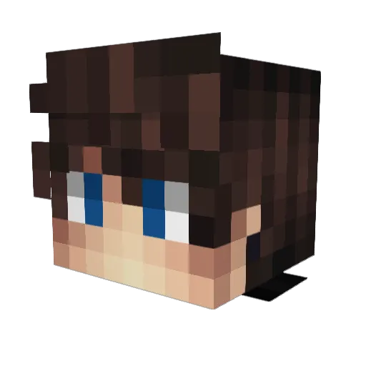 COAR_ Minecraft avatar head, 3D render