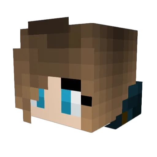 COCOberry7 Minecraft avatar head, 3D render