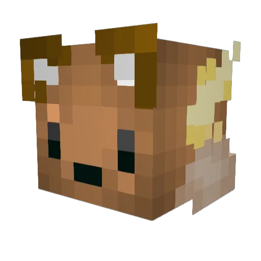 COCUYOO Minecraft avatar head, 3D render