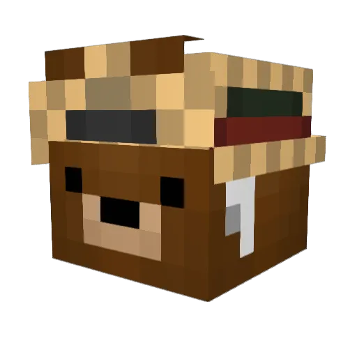 CODE2402 Minecraft avatar head, 3D render