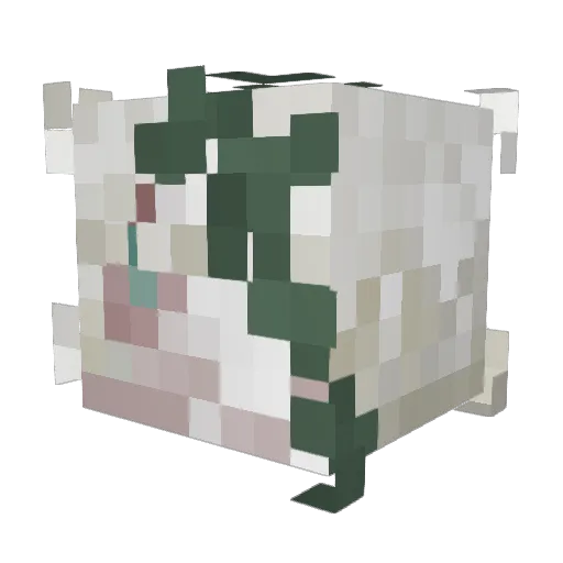 CODEDTEMNOTA Minecraft avatar head, 3D render