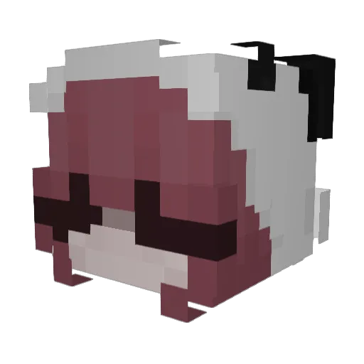 COETIDAE Minecraft avatar head, 3D render