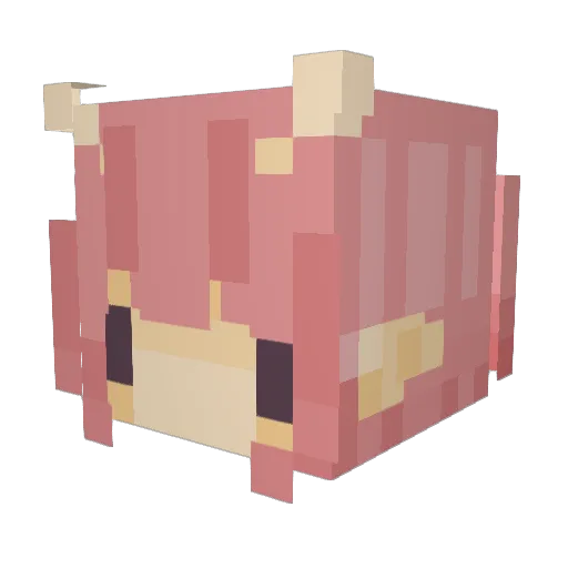 COFFEEK1TTEN Minecraft avatar head, 3D render