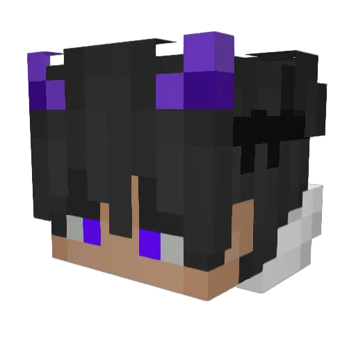 COFFIN0 Minecraft avatar head, 3D render