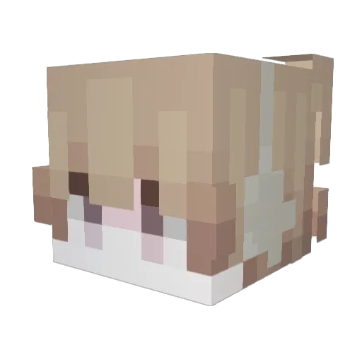 COLDENBURNER Minecraft avatar head, 3D render