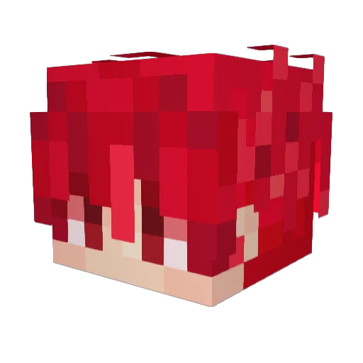 COLEEE14 Minecraft avatar head, 3D render