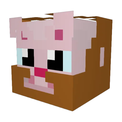 COLEGESIN Minecraft avatar head, 3D render