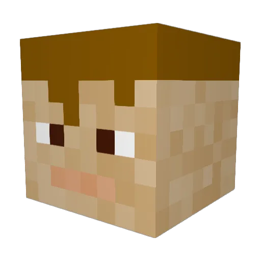 COLEPALMER20 Minecraft avatar head, 3D render