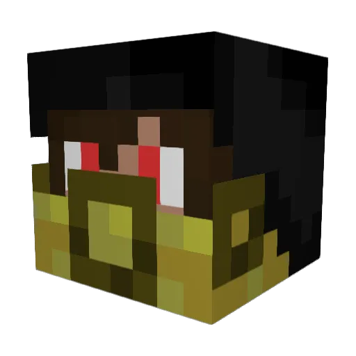 COND16 Minecraft avatar head, 3D render