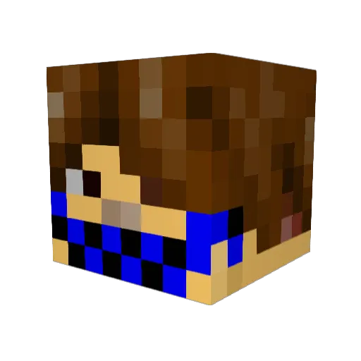 CONDORXD Minecraft avatar head, 3D render