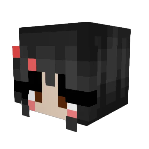 CONEY_ISLAND Minecraft avatar head, 3D render