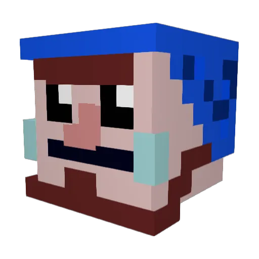 CONFUSEDBOOMER Minecraft avatar head, 3D render