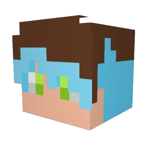 CONINJA_2002 Minecraft avatar head, 3D render