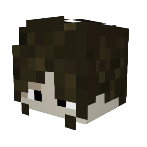 CONTROLIFN Minecraft avatar head, 3D render