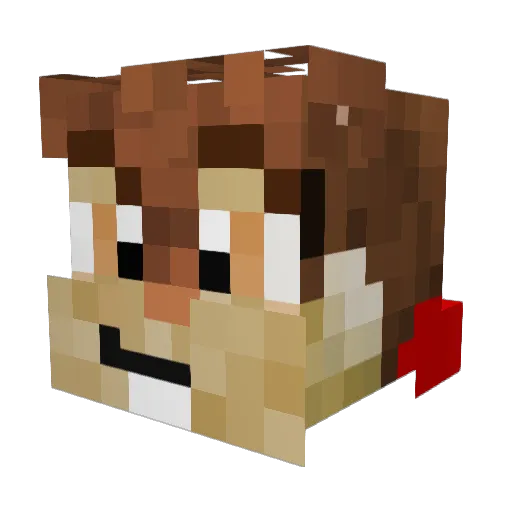 COOGANATORSSS Minecraft avatar head, 3D render