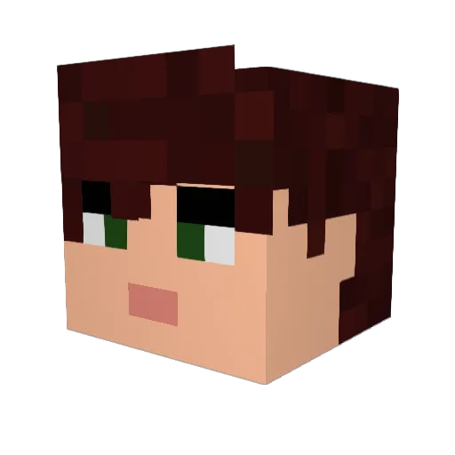 COOK1EHUNTER Minecraft avatar head, 3D render