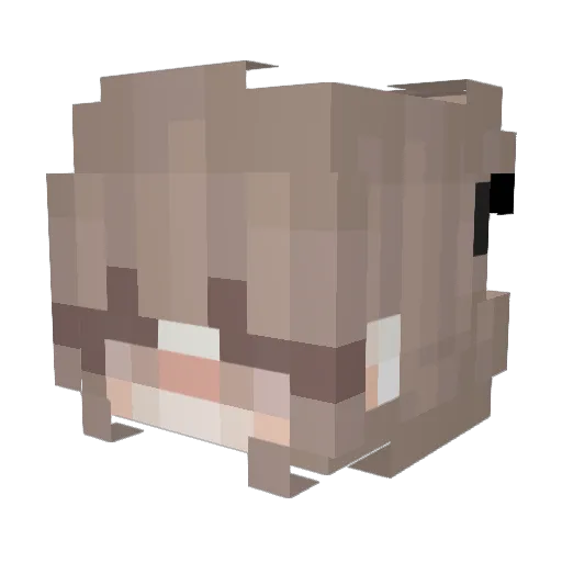 COOKIE_007 Minecraft avatar head, 3D render