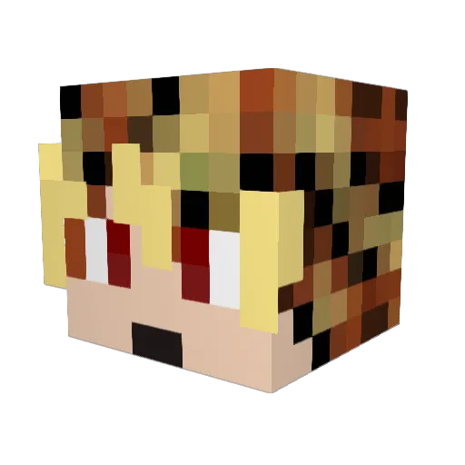 COOL1nate Minecraft avatar head, 3D render