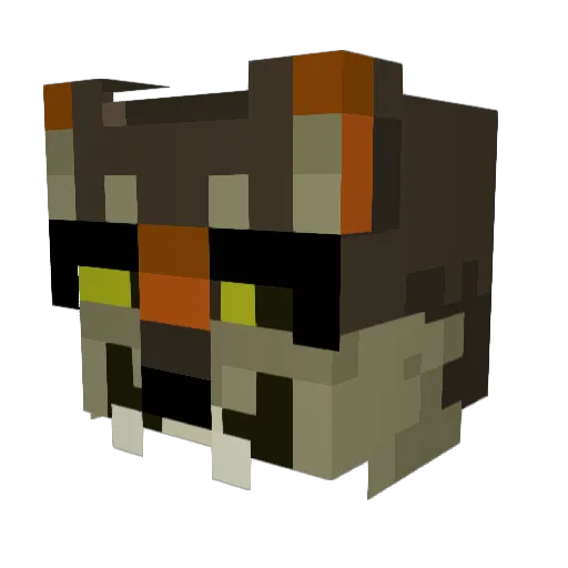 COOLSK3LETON95_ Minecraft avatar head, 3D render