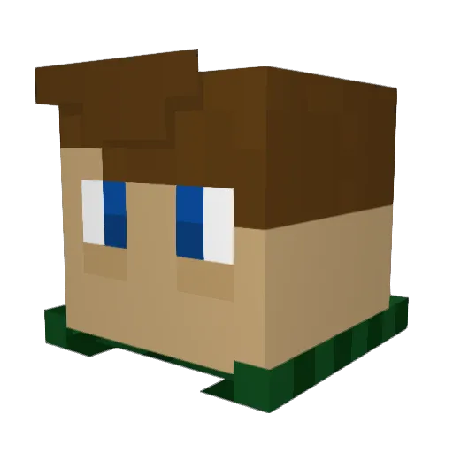 COOPJAYDAL Minecraft avatar head, 3D render