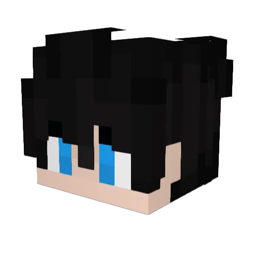CORRUPTWIZARD Minecraft avatar head, 3D render
