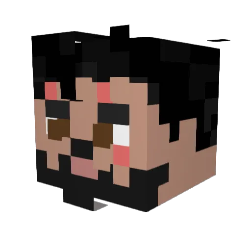 COSMICPANDAFA Minecraft avatar head, 3D render