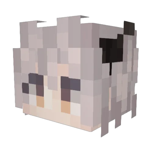 COUL_ Minecraft avatar head, 3D render