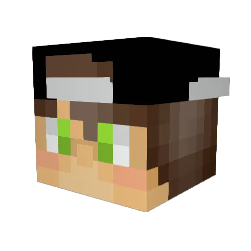 COURTLEFT Minecraft avatar head, 3D render
