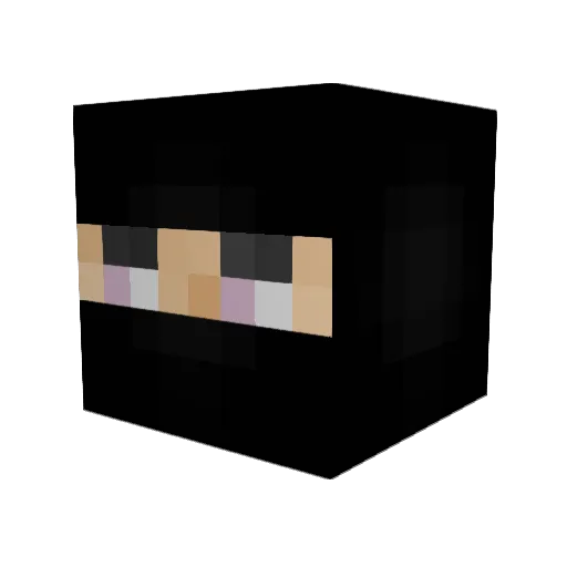 COVERRR Minecraft avatar head, 3D render