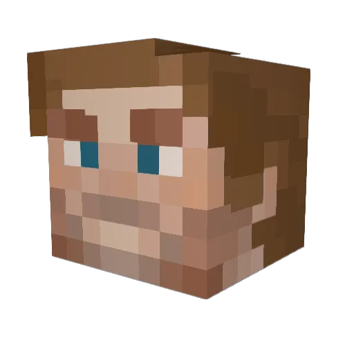 COWBOYBLANKY Minecraft avatar head, 3D render