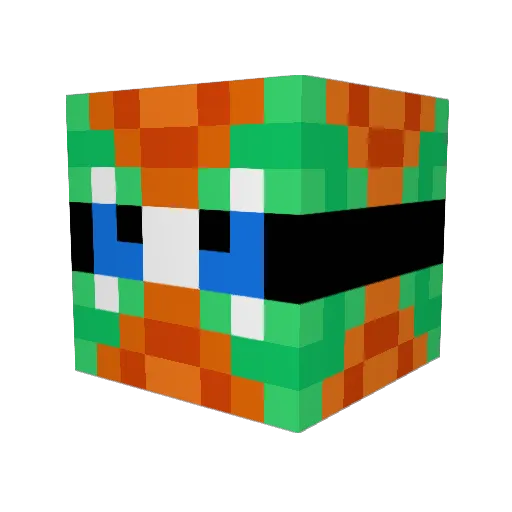 CO_N_N_OR Minecraft avatar head, 3D render