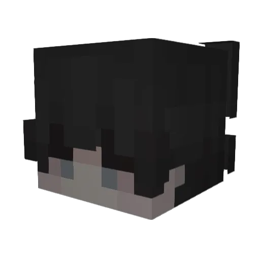 CO_Santro Minecraft avatar head, 3D render