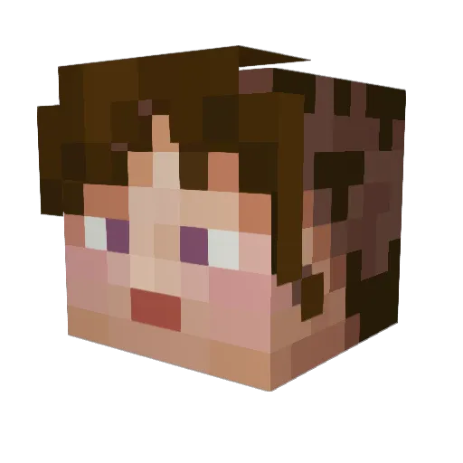 CP2Blackout Minecraft avatar head, 3D render
