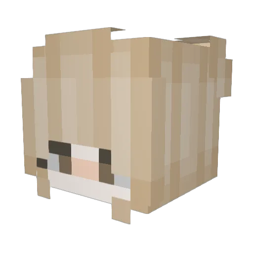 CPAKA Minecraft avatar head, 3D render