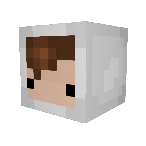 CPO_2006 Minecraft avatar head, 3D render