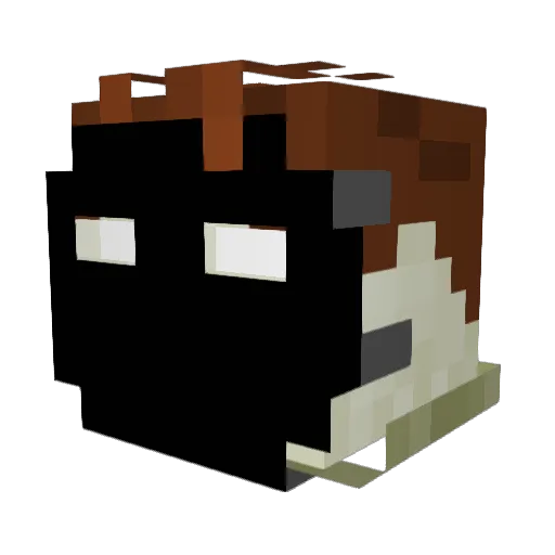 CPlan3 Minecraft avatar head, 3D render