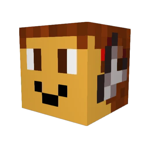 CQR_WAYM Minecraft avatar head, 3D render