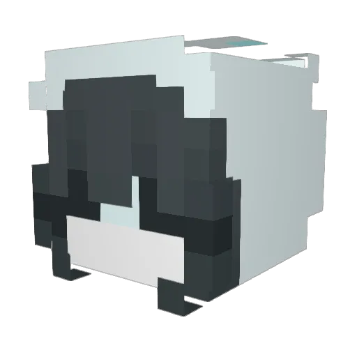 CR11TZ Minecraft avatar head, 3D render