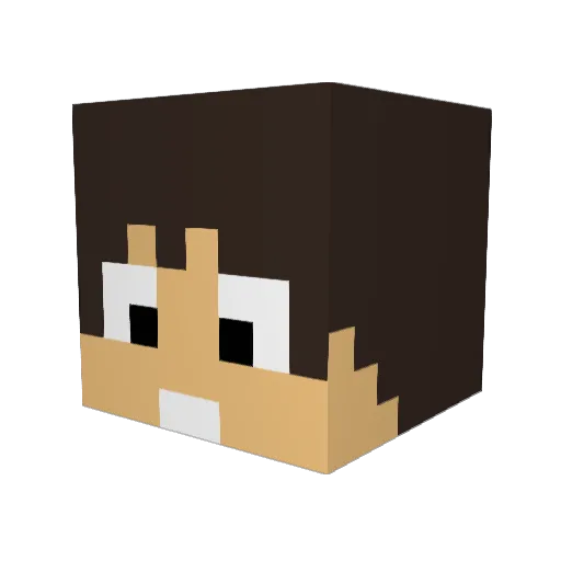 CR4FTY2 Minecraft avatar head, 3D render