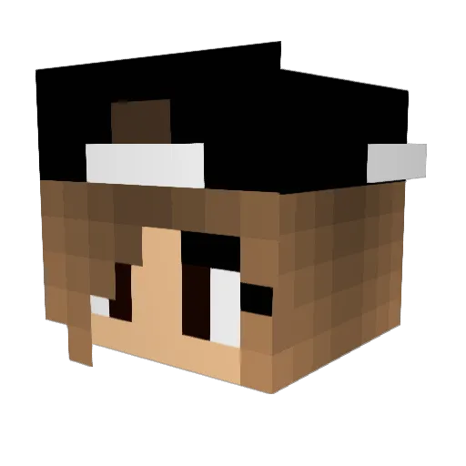 CRAFTY_BUBBLEZ Minecraft avatar head, 3D render