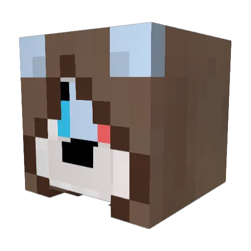 CRAYN352 Minecraft avatar head, 3D render