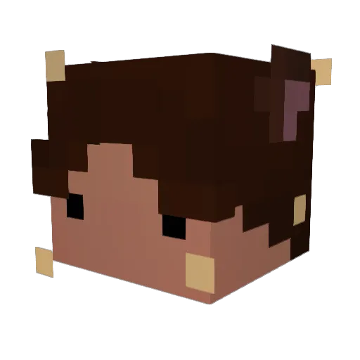 CRAZYIAMNOT11 Minecraft avatar head, 3D render