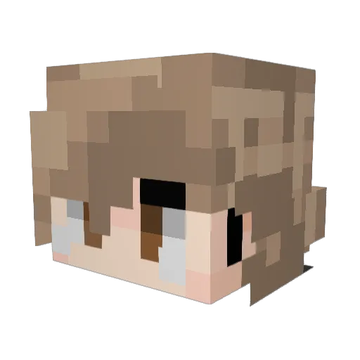 CRAZYLITTLEGUY Minecraft avatar head, 3D render