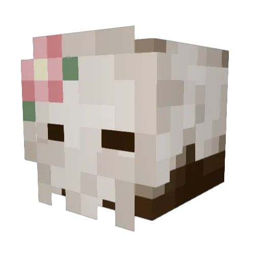 CRAZY_CAT_LADY12 Minecraft avatar head, 3D render