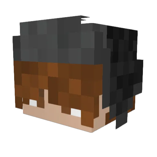 CREEPER1105PL Minecraft avatar head, 3D render