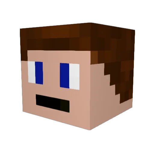 CREIS Minecraft avatar head, 3D render