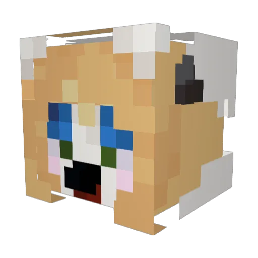 CRIXKETTT Minecraft avatar head, 3D render