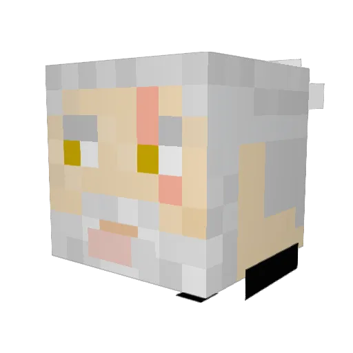 CRJ1001 Minecraft avatar head, 3D render