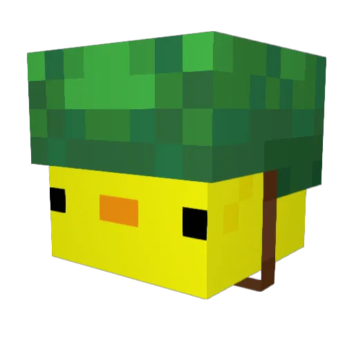 CRJakobson Minecraft avatar head, 3D render